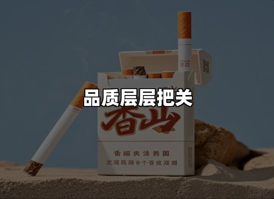 专业优势